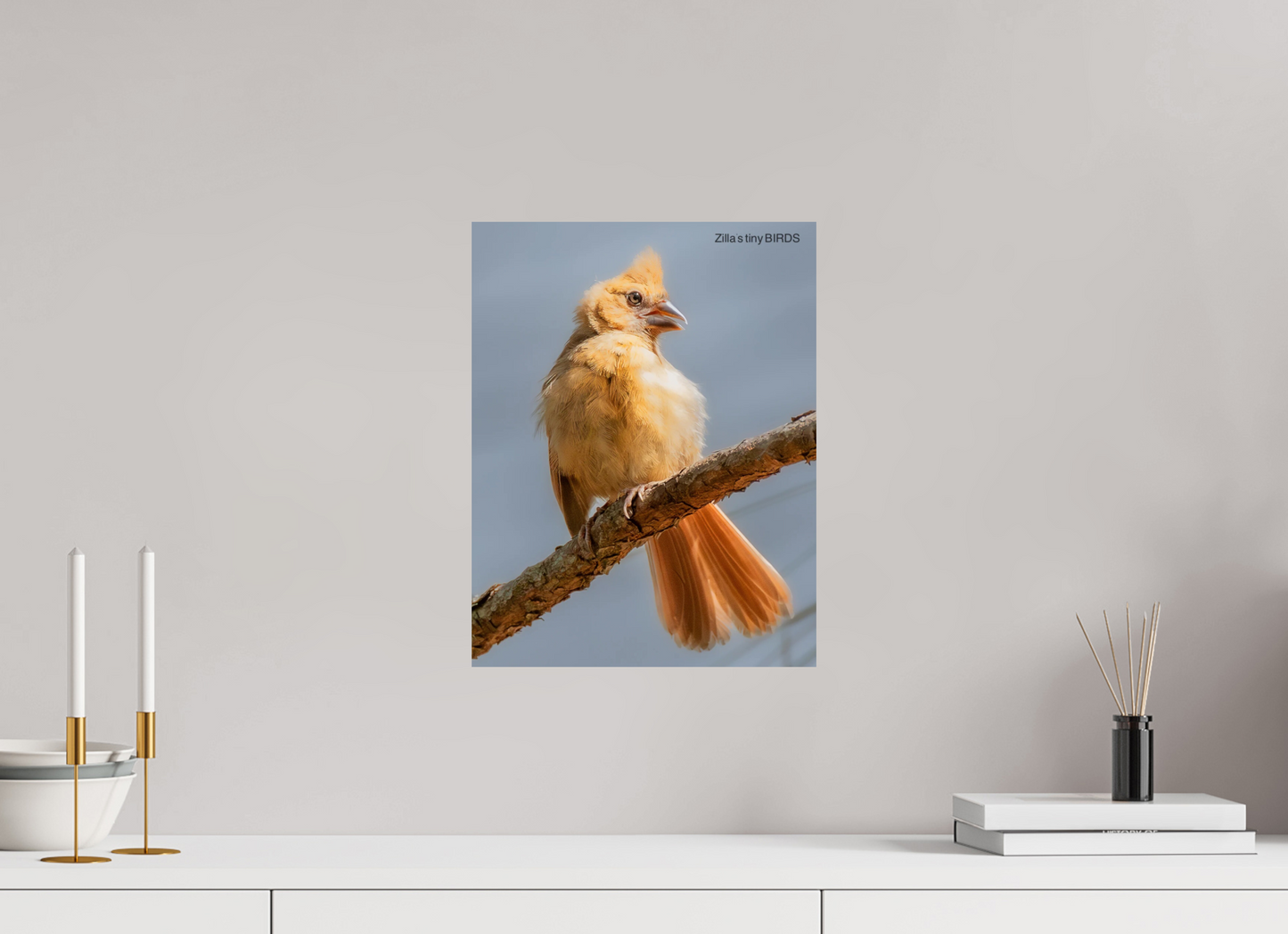 12 x 15.5″, Photo Print On Fuji Crystal DP II Zillas Zoom Image 508
