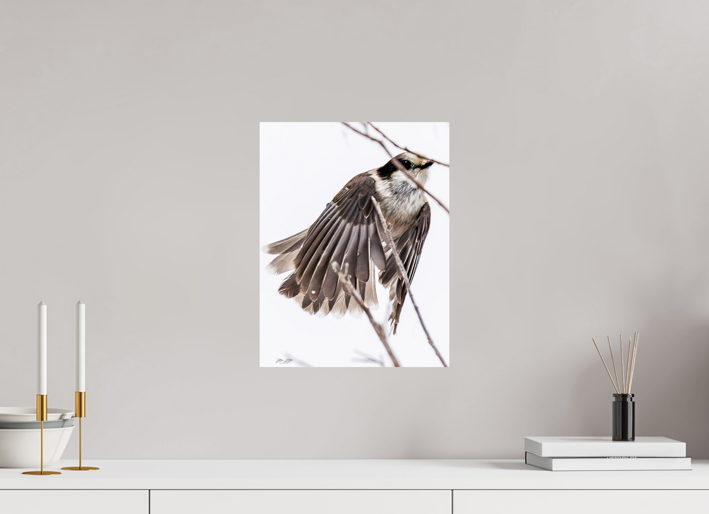 12 x 15.5″, Photo Print On Fuji Crystal DP II Zillas Zoom Image 507