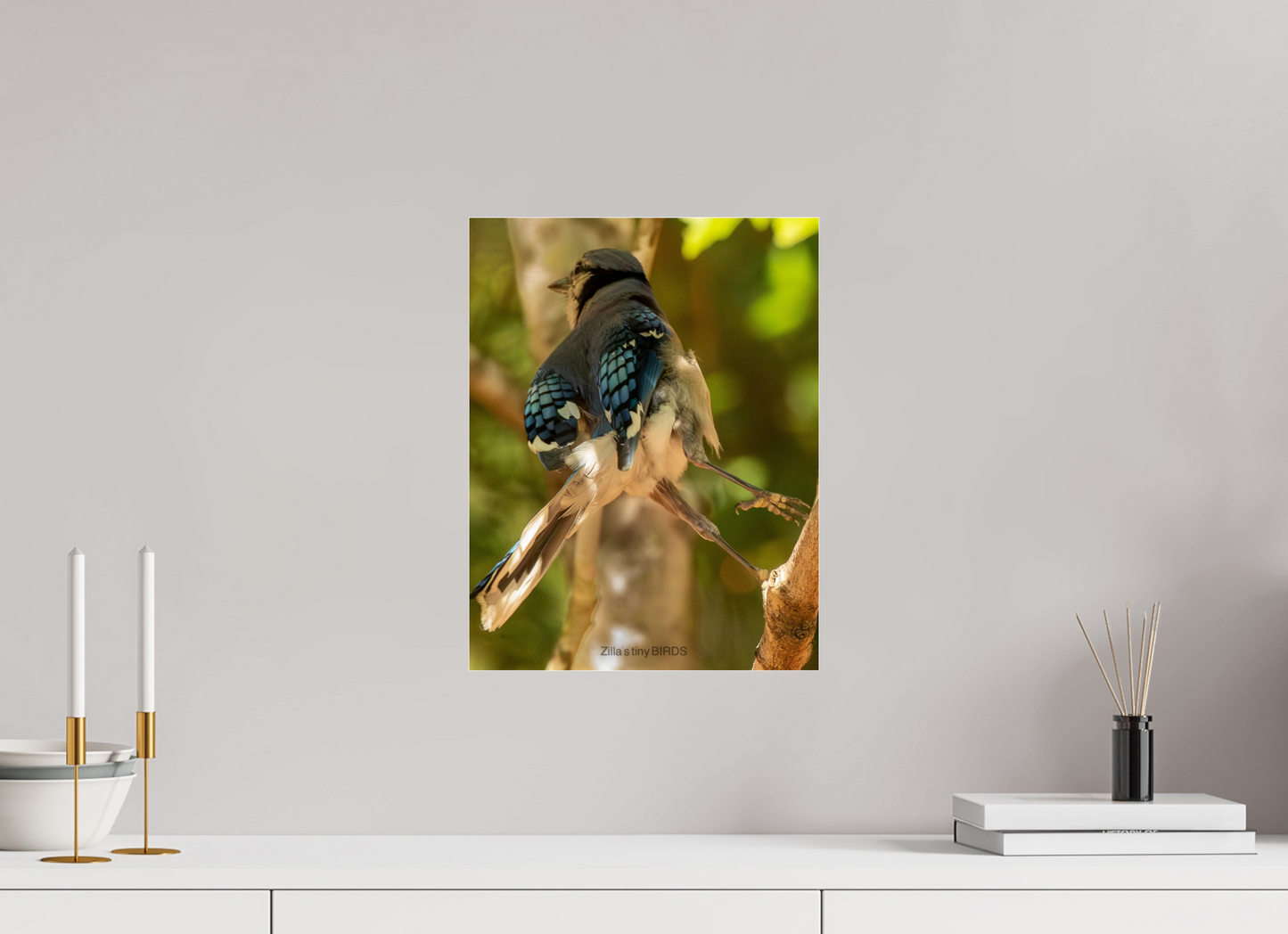 12 x 15.6″, Photo Print Under Acrylic Glass Zillas Zoom Image 518