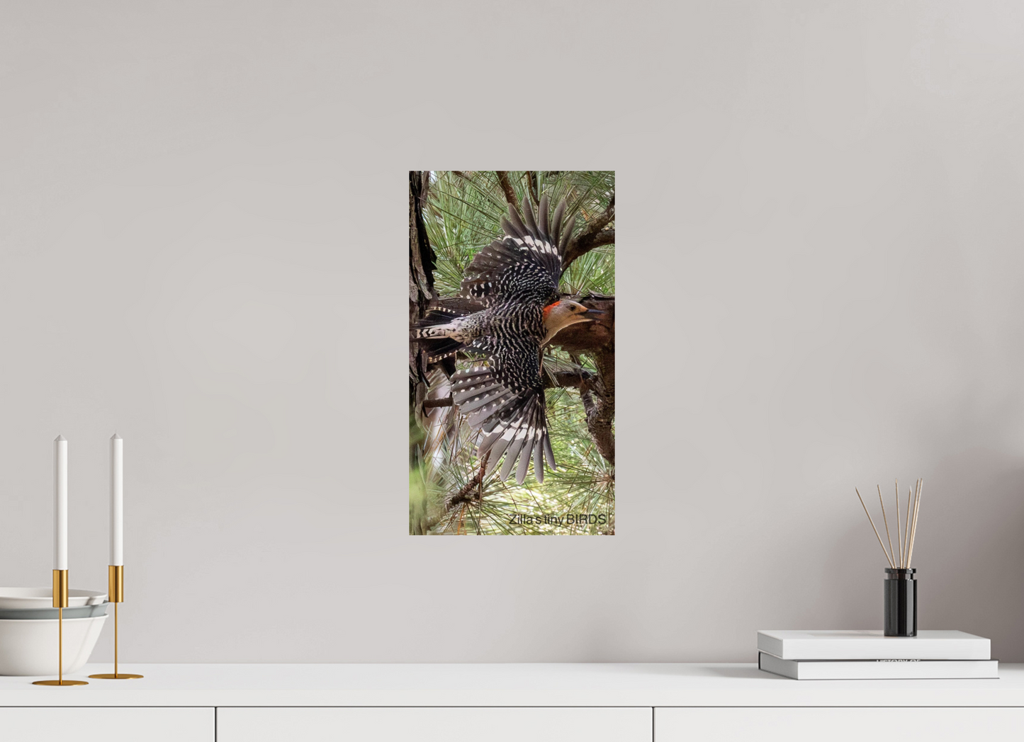 9 x 16″, Photo Print On Fuji Crystal DP II Zillas Zoom Image 477