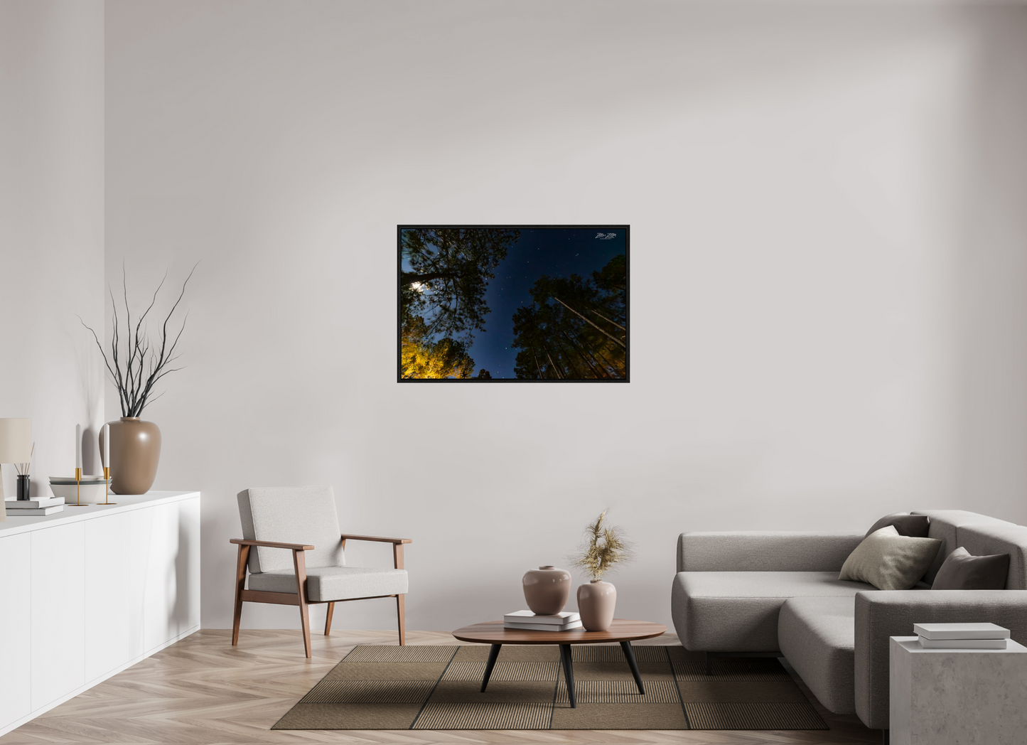 45 x 30″, Floater Frame Zillas zoom image 119