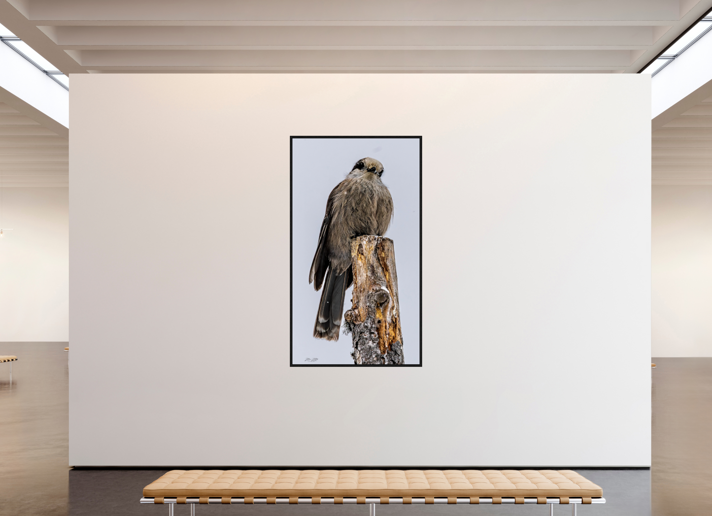 45 x 80″, Floater Frame Zillas Zoom Image 464