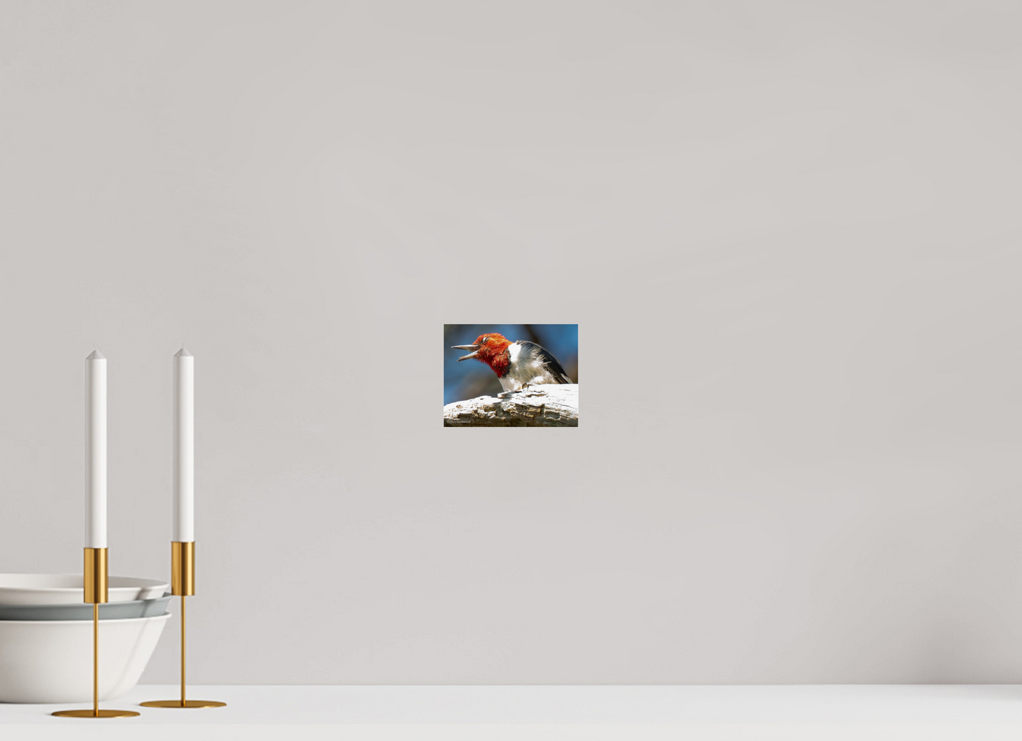 5.2 x 4″, Photo Print Under Acrylic Glass Zillas Zoom Image 269