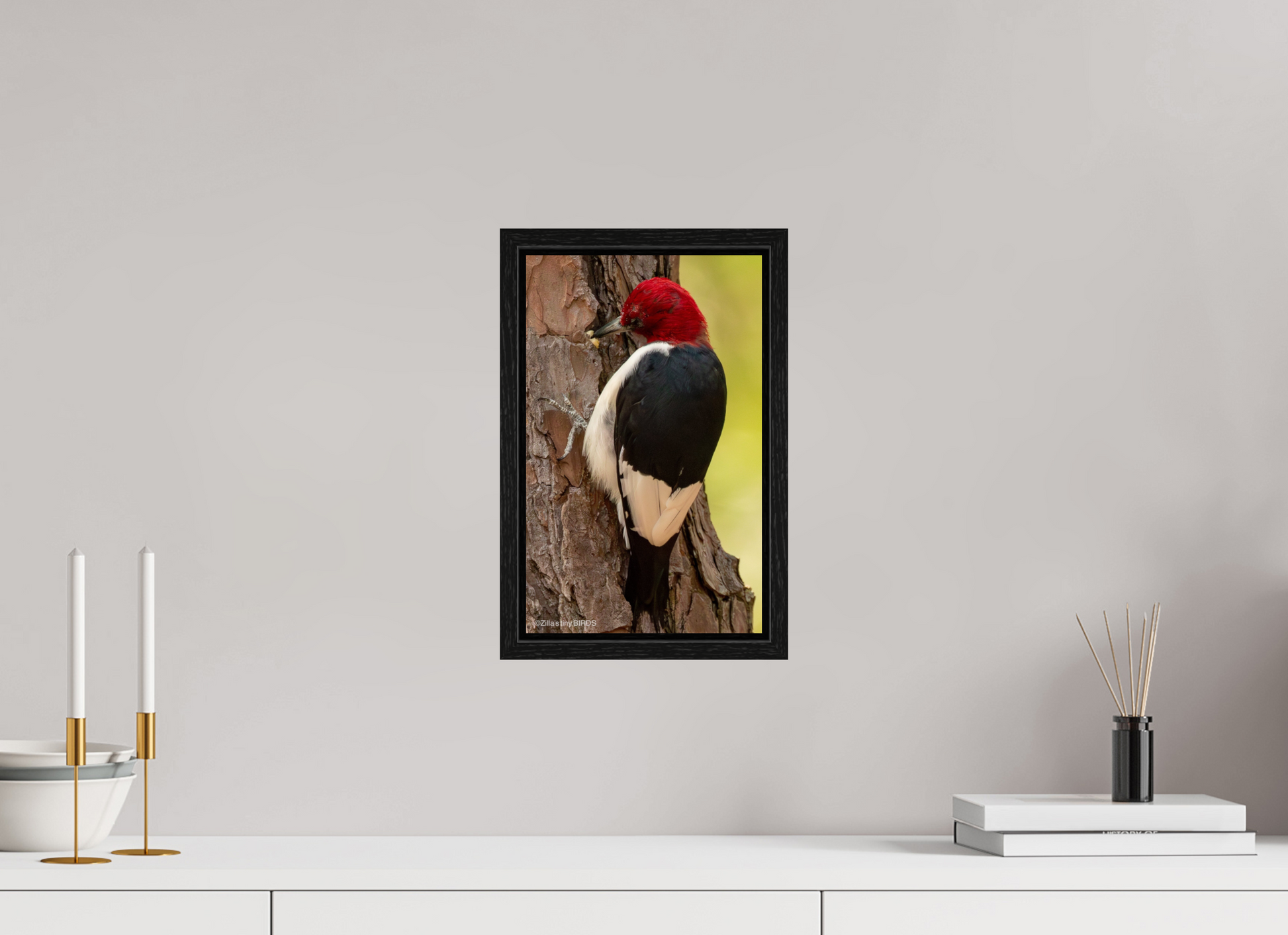8 x 12.8″, Floater Frame Zillas Zoom Image 461