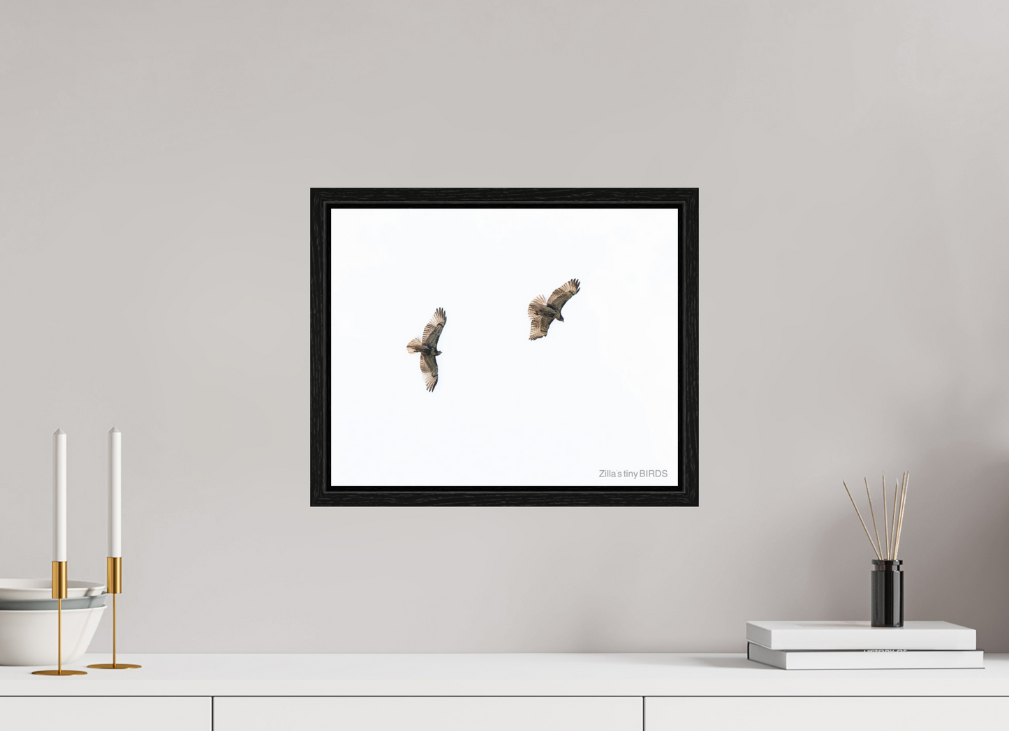 15 x 12″, Floater Frame Zillas Zoom Image 371