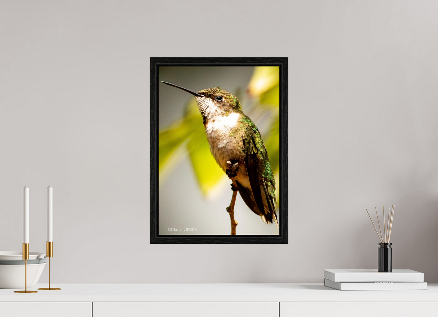12 x 16.8″, Floater Frame Zillas Zoom Image 473