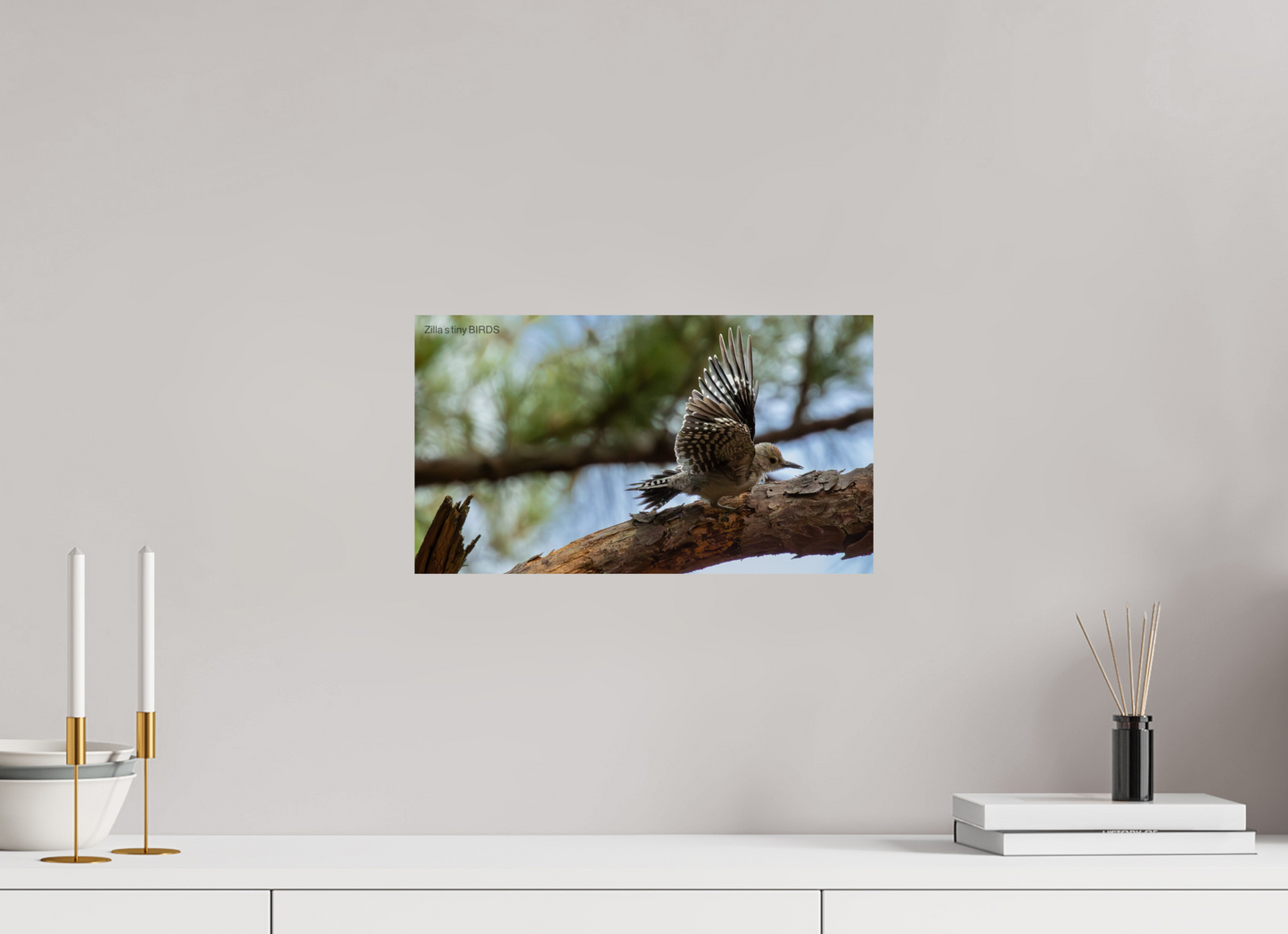 16 x 9″, Photo Print On Fuji Crystal DP II Zillas Zoom Image 388
