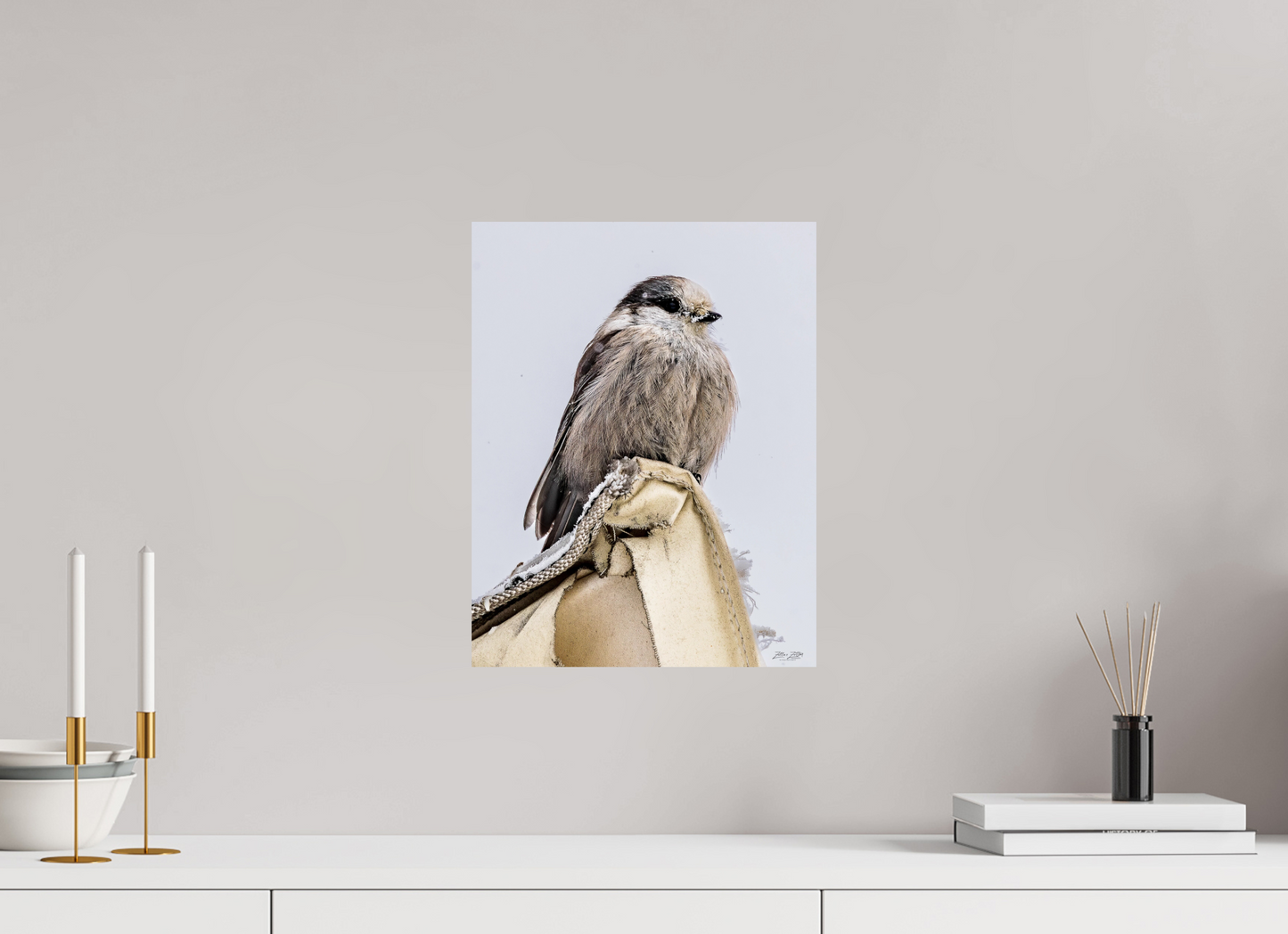 12 x 15.5″, Photo Print On Fuji Crystal DP II Zillas Zoom Image 462