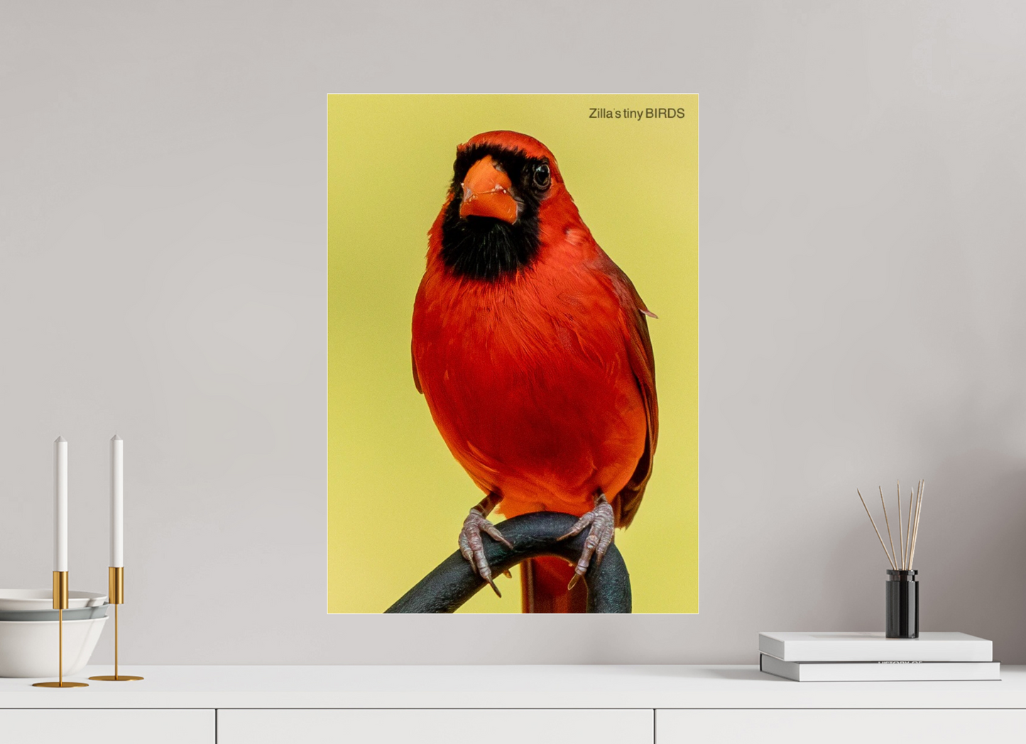 16 x 22.4″, Photo Print Under Acrylic Glass Zillas Zoom Image 500