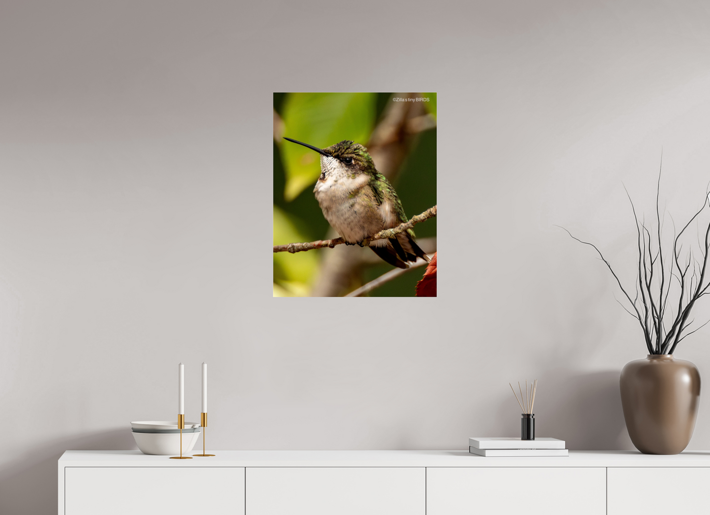 20 x 25″, Photo Print Under Acrylic Glass Zillas Zoom Image 515