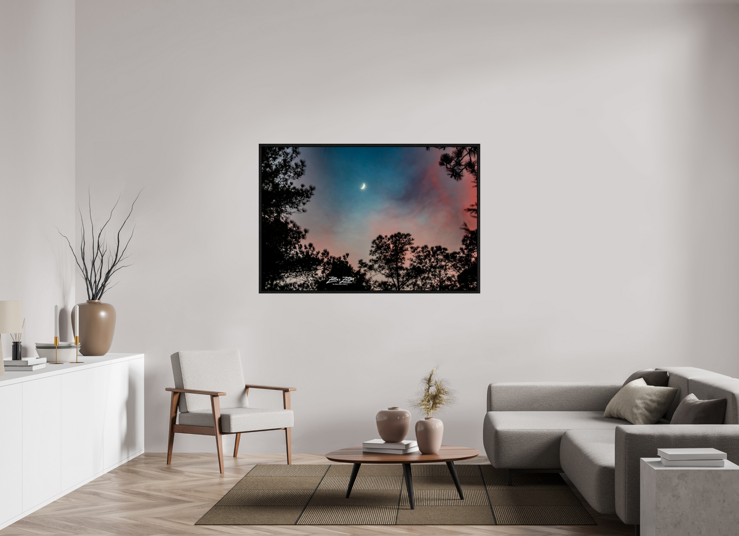 60 x 40″, Floater Frame Zillas zoom image 129