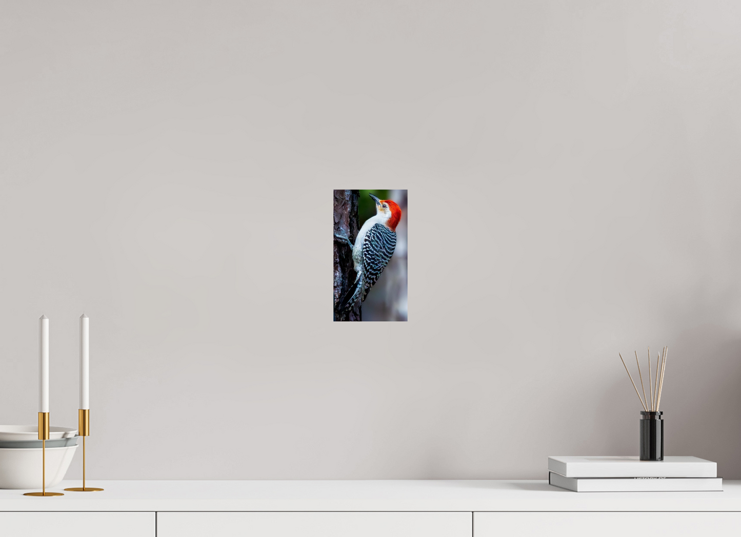 4.5 x 8″, Photo Print On Fuji Crystal DP II Zillas Zoom Image 447
