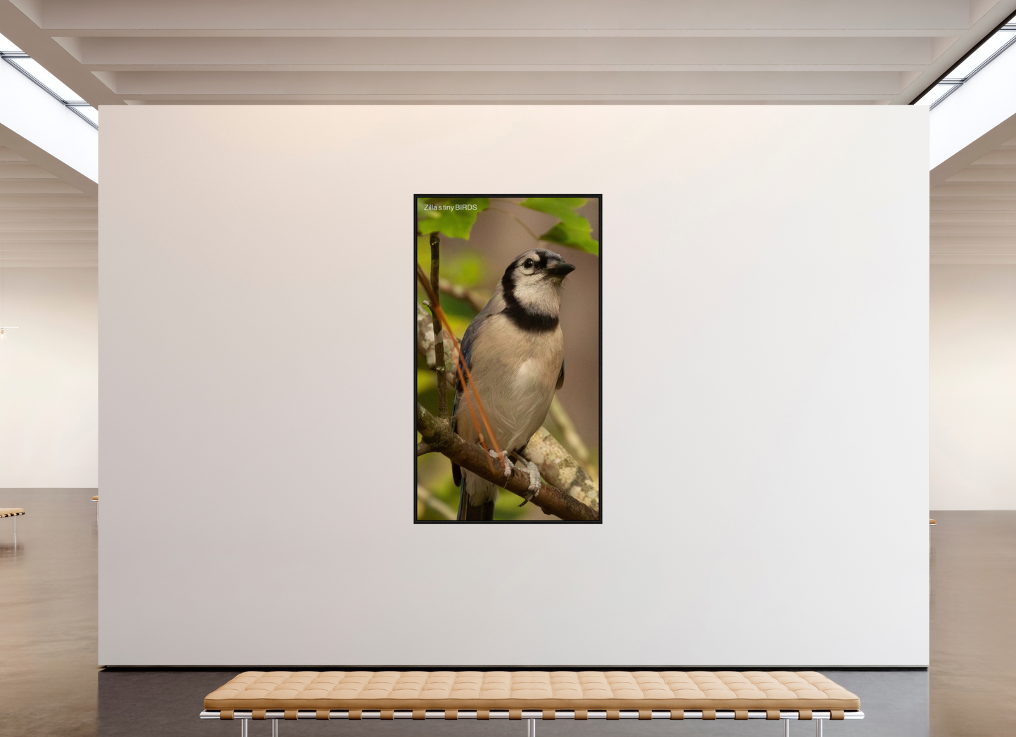 45 x 80″, Floater Frame Zillas Zoom Image 493