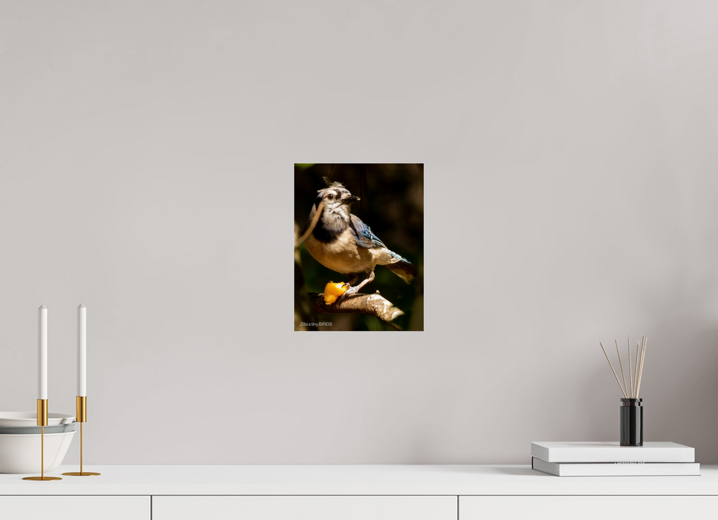 8 x 10.4″, Photo Print Under Acrylic Glass Zillas Zoom Image 480