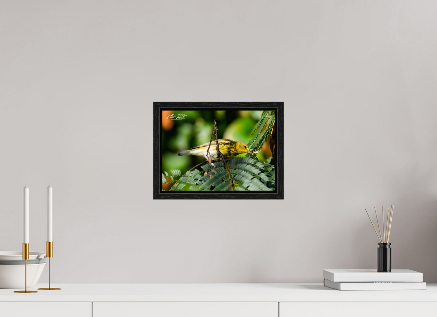 11.2 x 8″, Floater Frame Zillas Zoom Image 288