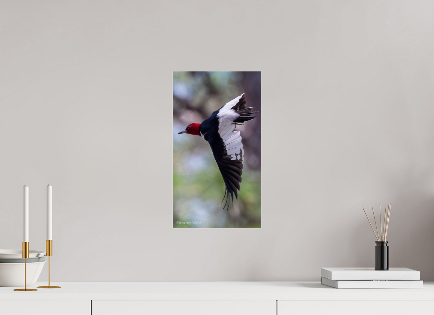 9 x 16″, Photo Print Under Acrylic Glass Zillas Zoom Image 482