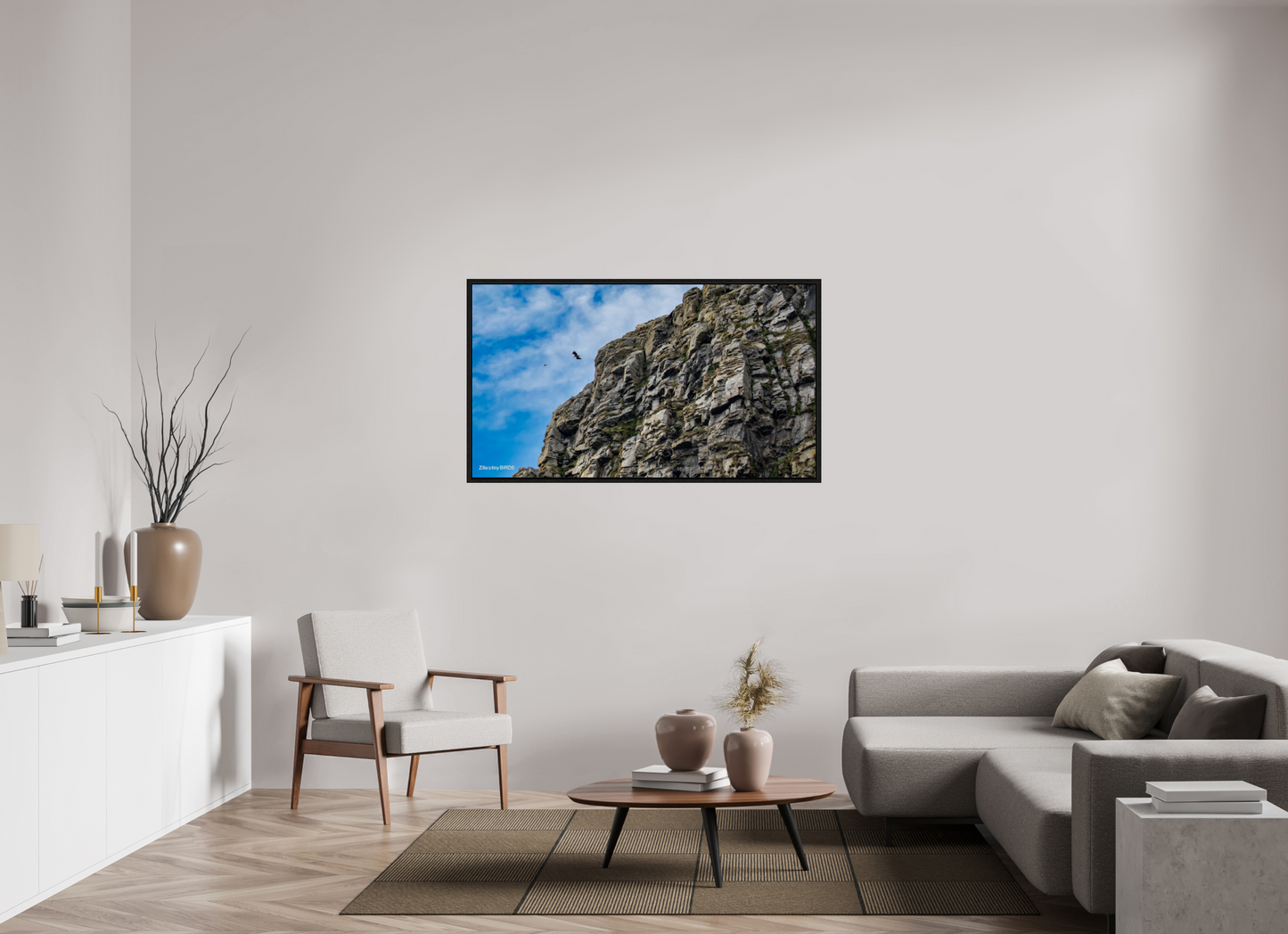 55 x 30.9″, Floater Frame Zillas Zoom Image 215
