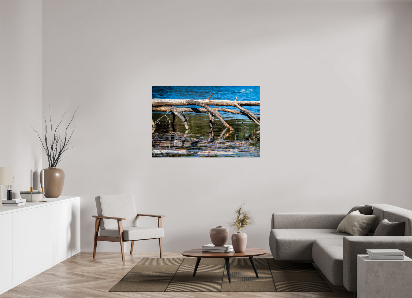 54 x 36″, Photo Print Under Acrylic Glass Zillas Zoom Image 214