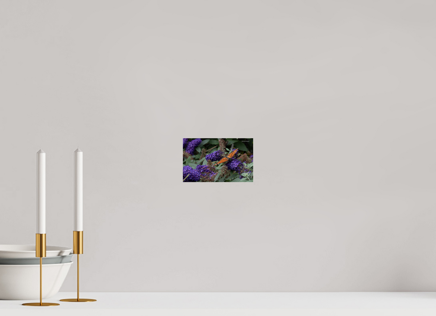 6.4 x 4″, Photo Print Under Acrylic Glass Zillas Zoom Image 58