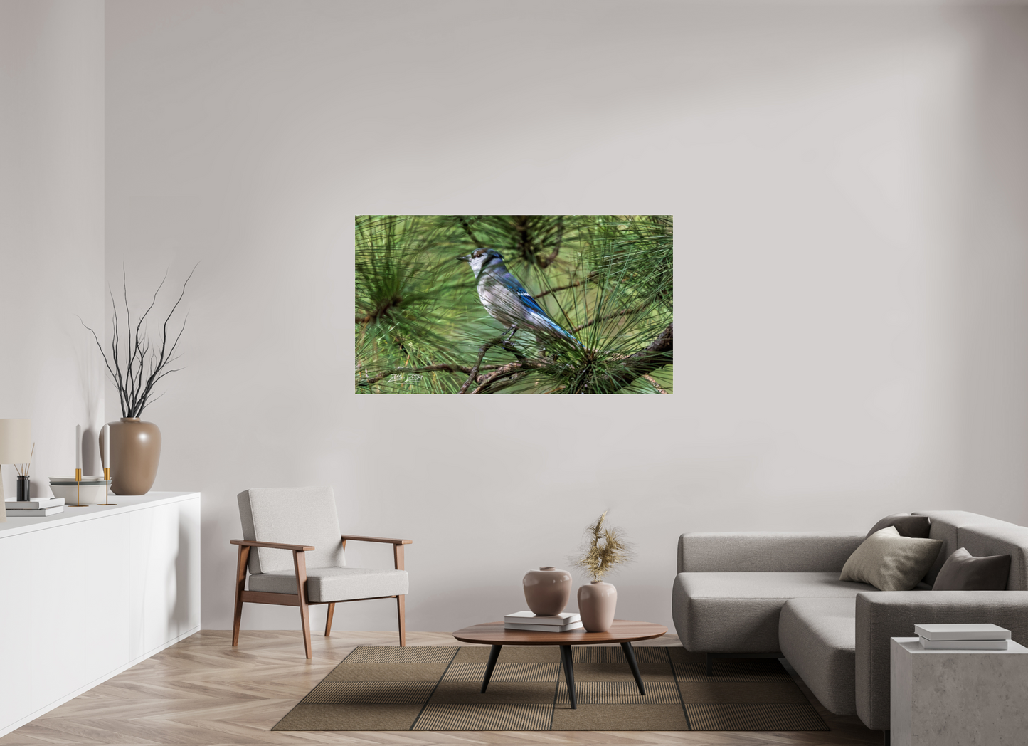 64 x 36″, Photo Print Under Acrylic Glass Zillas Zoom Image 344