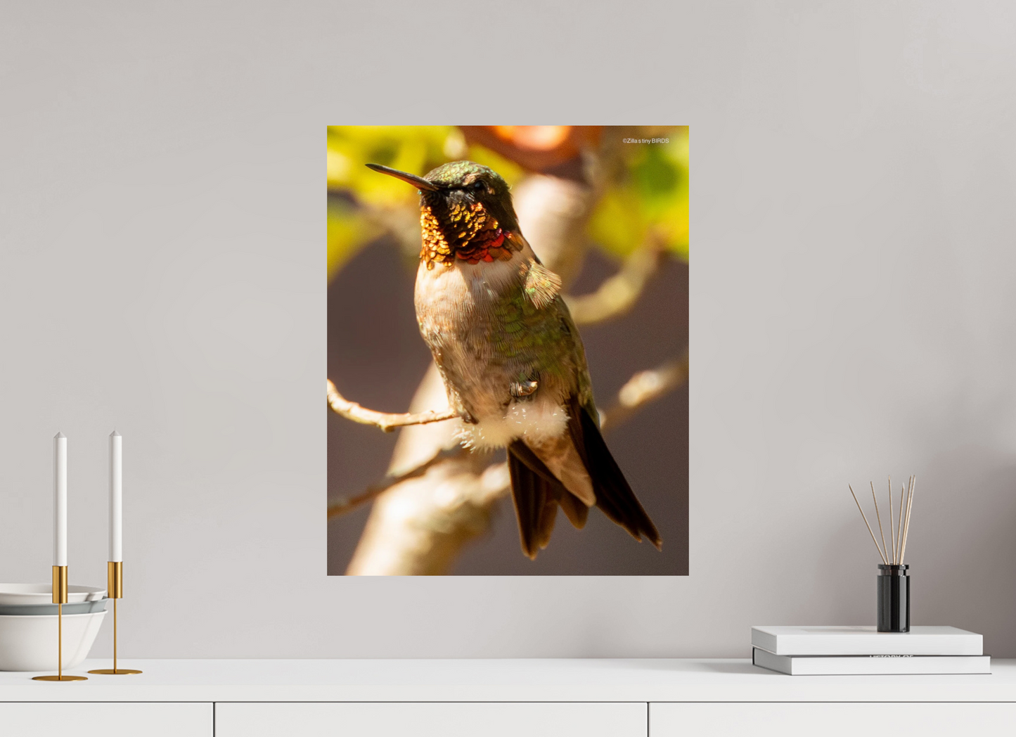 16 x 19.9″, Photo Print On Fuji Crystal DP II Zillas Zoom Image 339