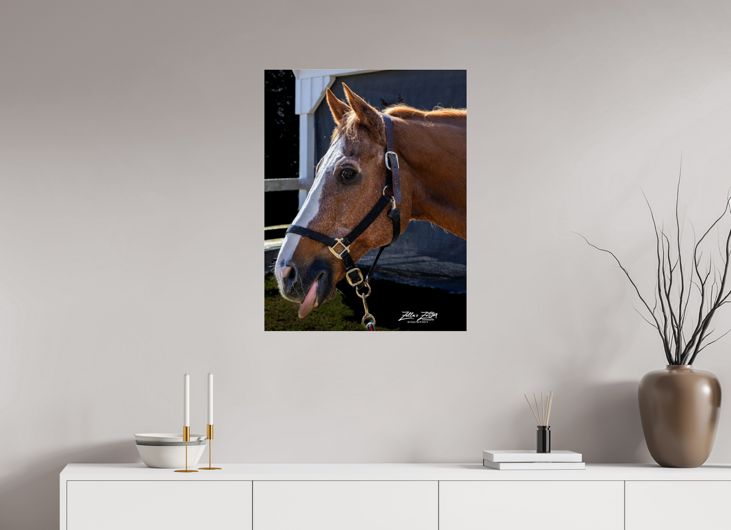 24 x 31.1″, Photo Print Under Acrylic Glass Zillas zoom image 157