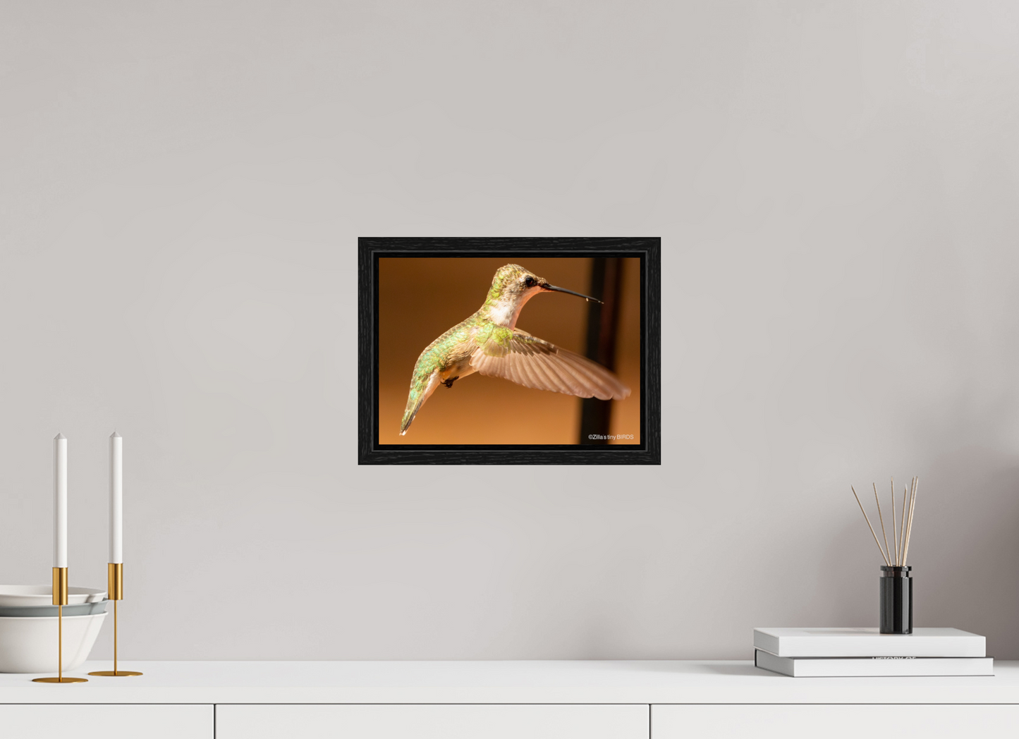 11.2 x 8″, Floater Frame Zillas Zoom Image 351