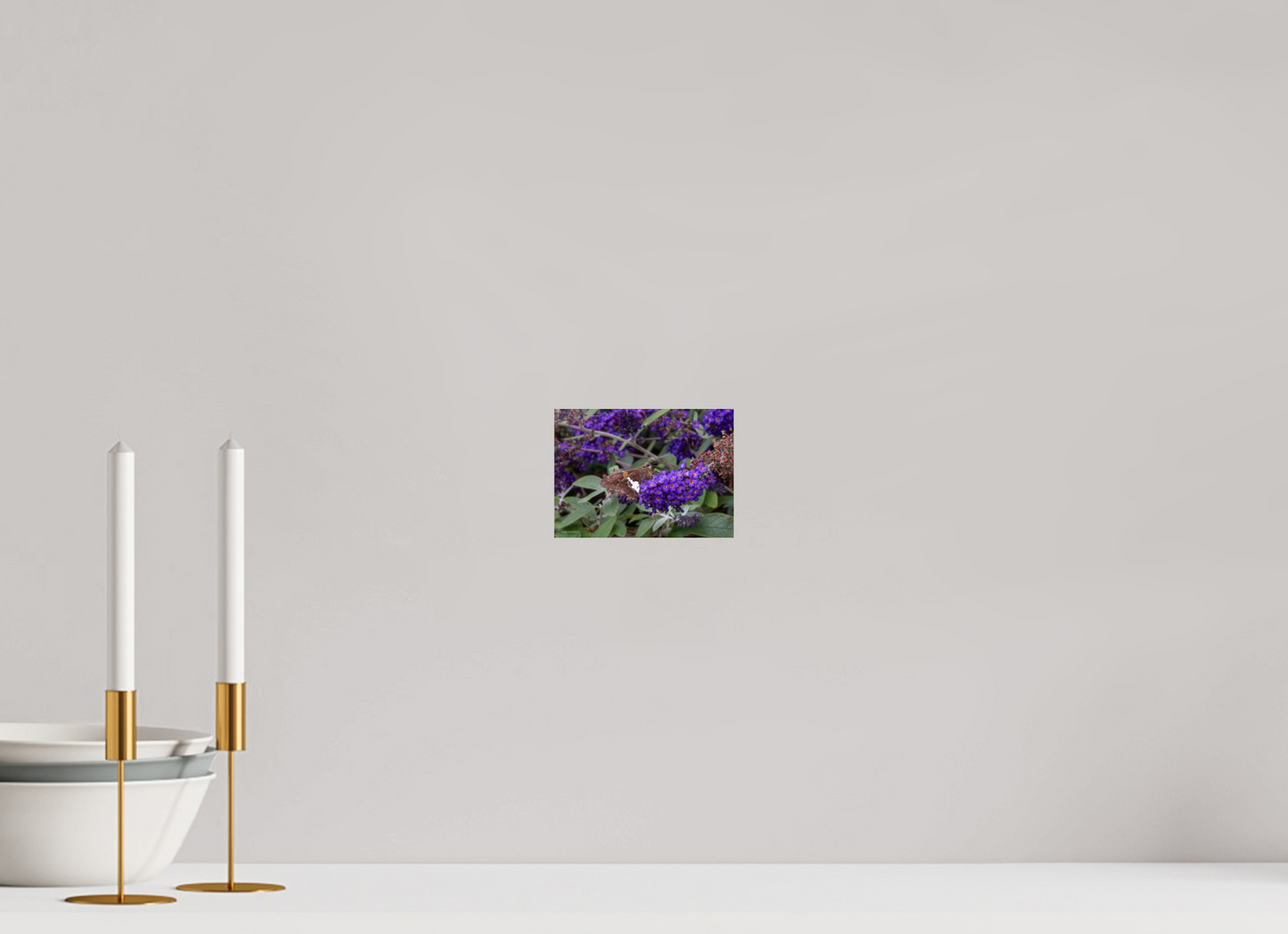 5.6 x 4″, Photo Print On Fuji Crystal DP II Zillas Zoom Image 60