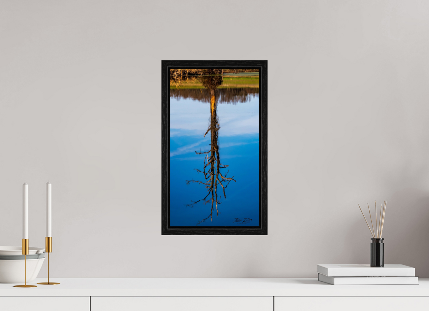 9 x 16″, Floater Frame Zillas Zoom Image 246