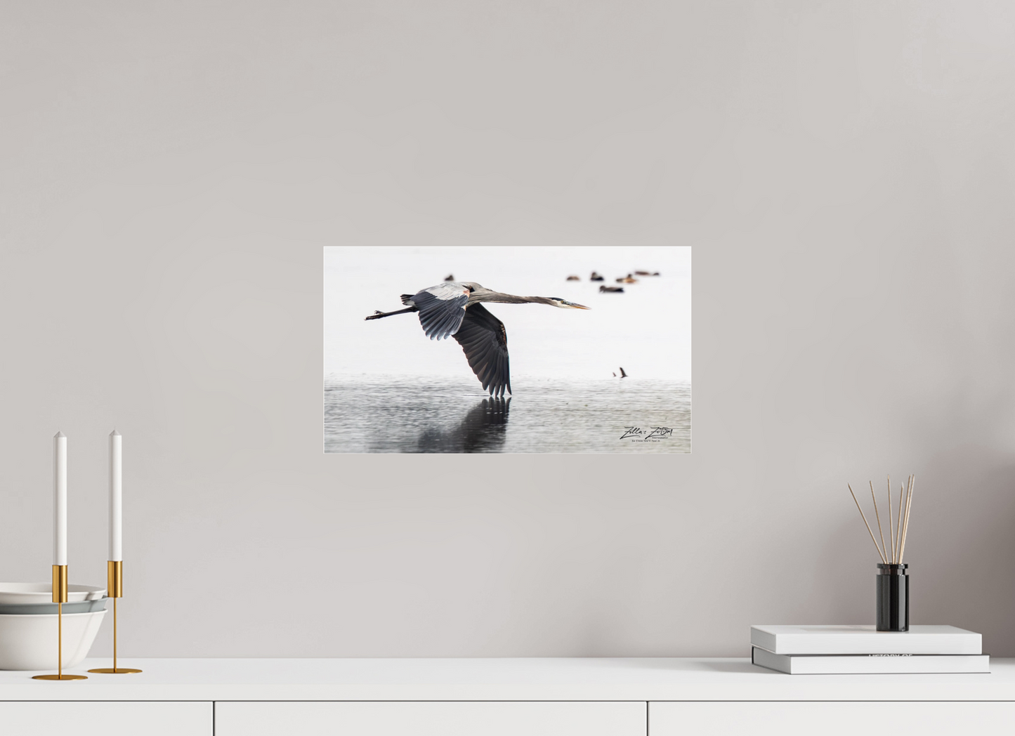 16 x 9″, Photo Print Under Acrylic Glass Zillas Zoom Image 318