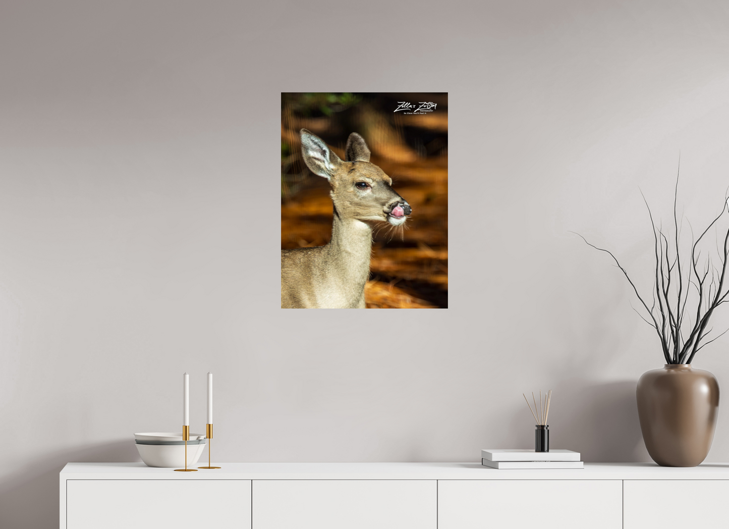 20 x 25.9″, Photo Print On Fuji Crystal DP II Zillas zoom image 152