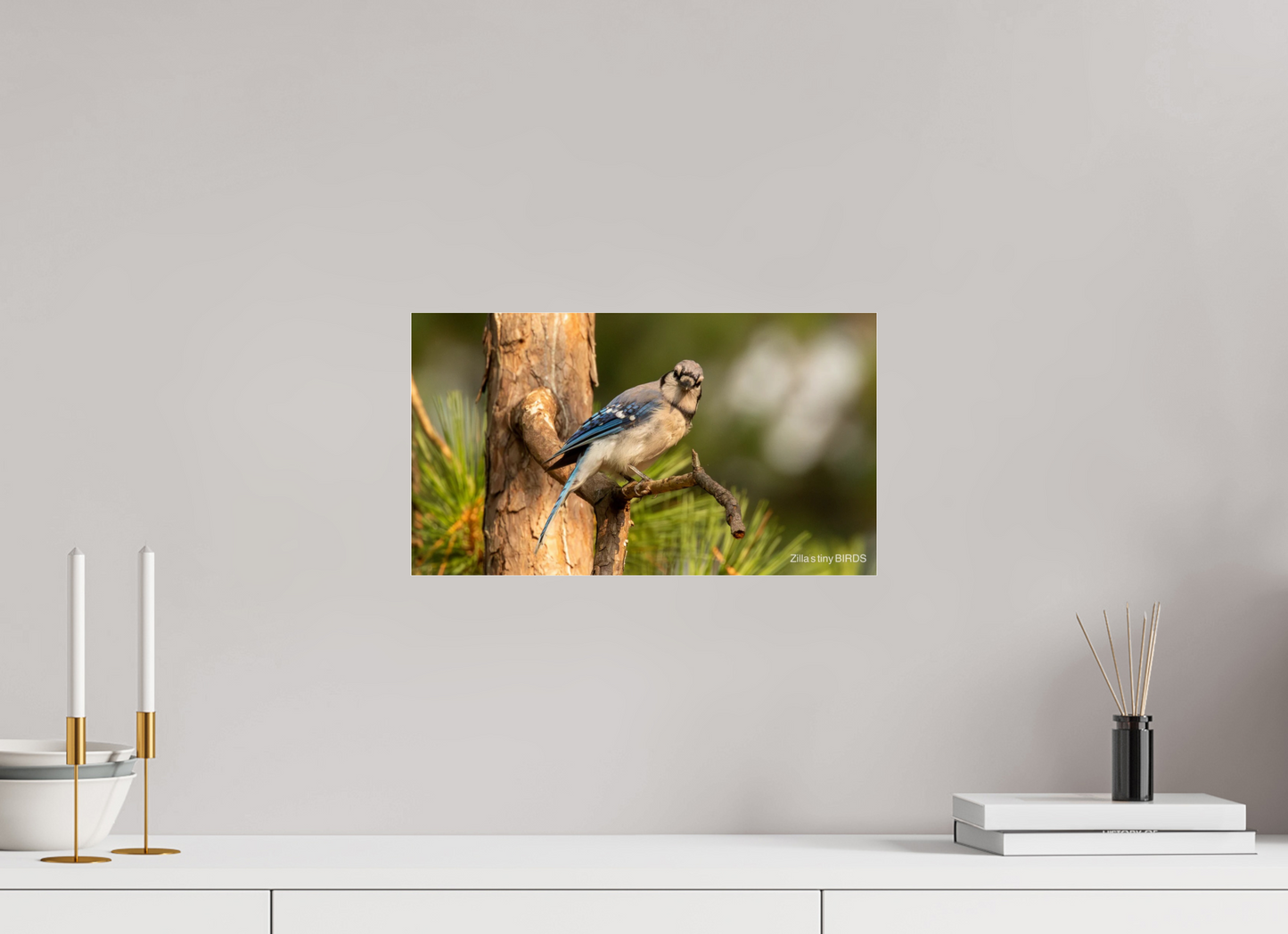 16 x 9″, Photo Print Under Acrylic Glass Zillas Zoom Image 385