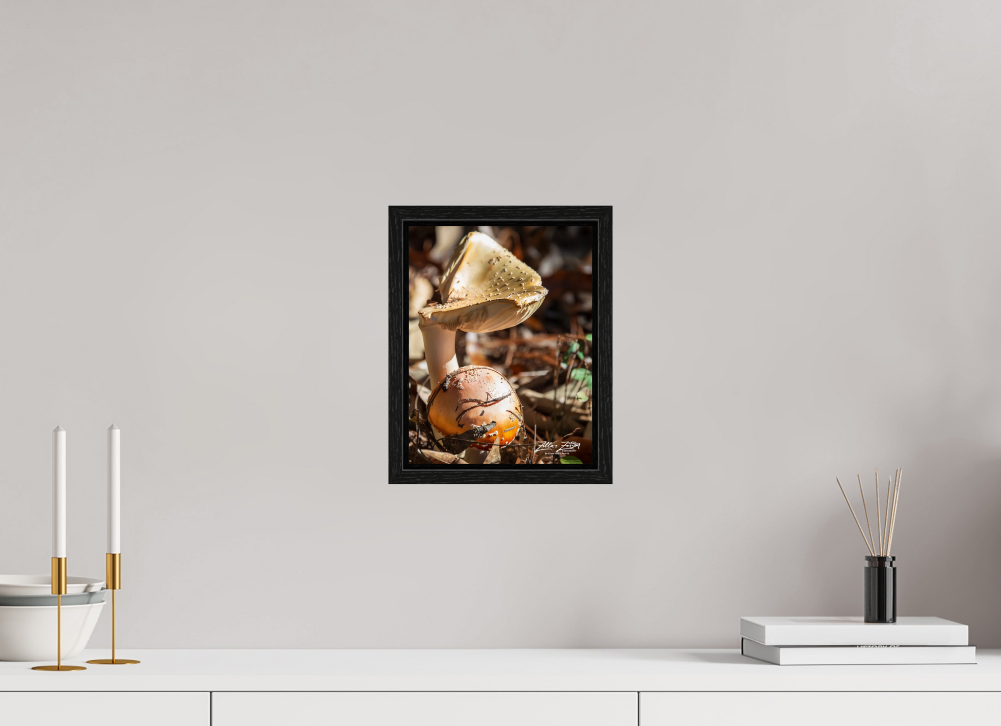 8 x 10.4″, Floater Frame Zillas Zoom Image 116