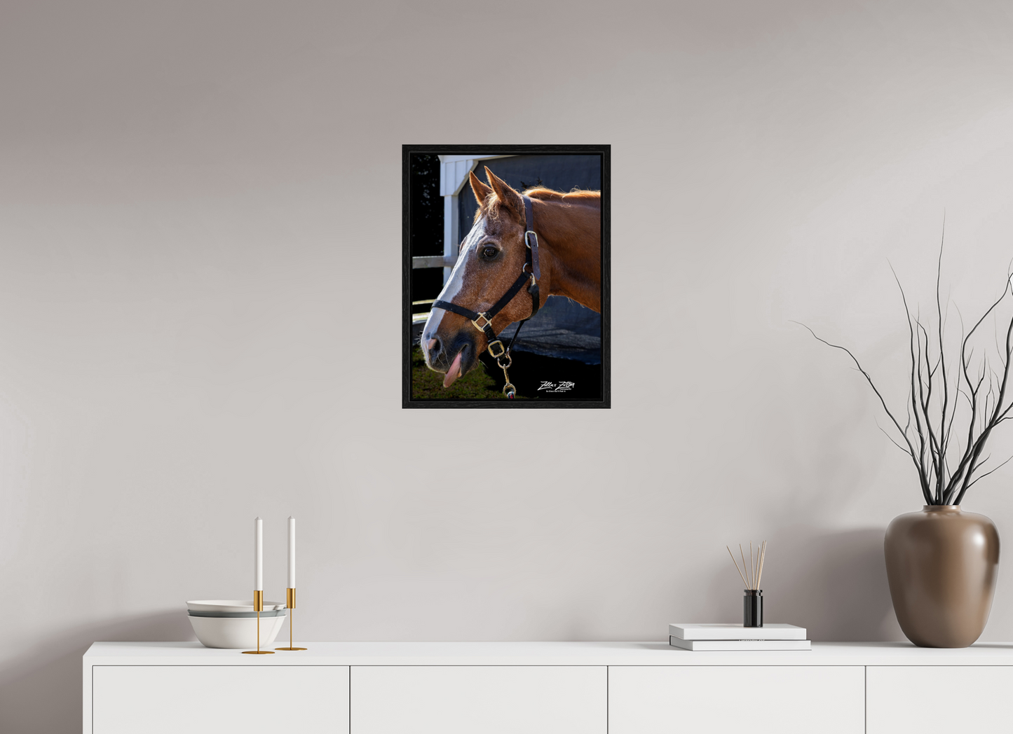 16 x 20.7″, Floater Frame Zillas zoom image 157