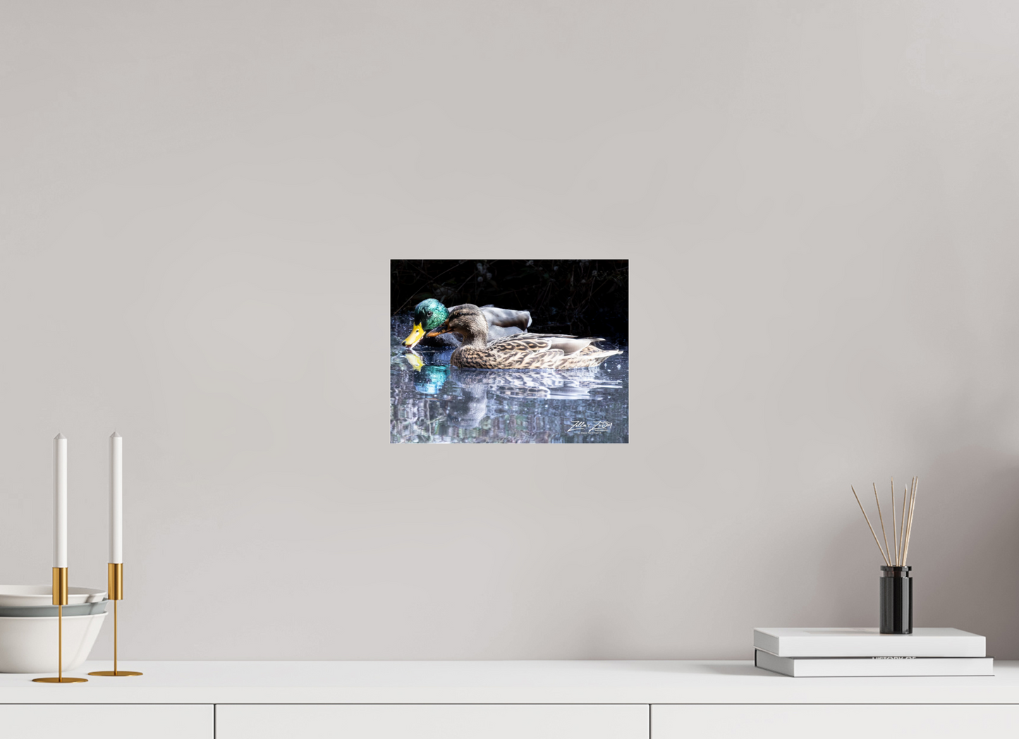 10.4 x 8″, Photo Print Under Acrylic Glass Zillas Zoom Image 292