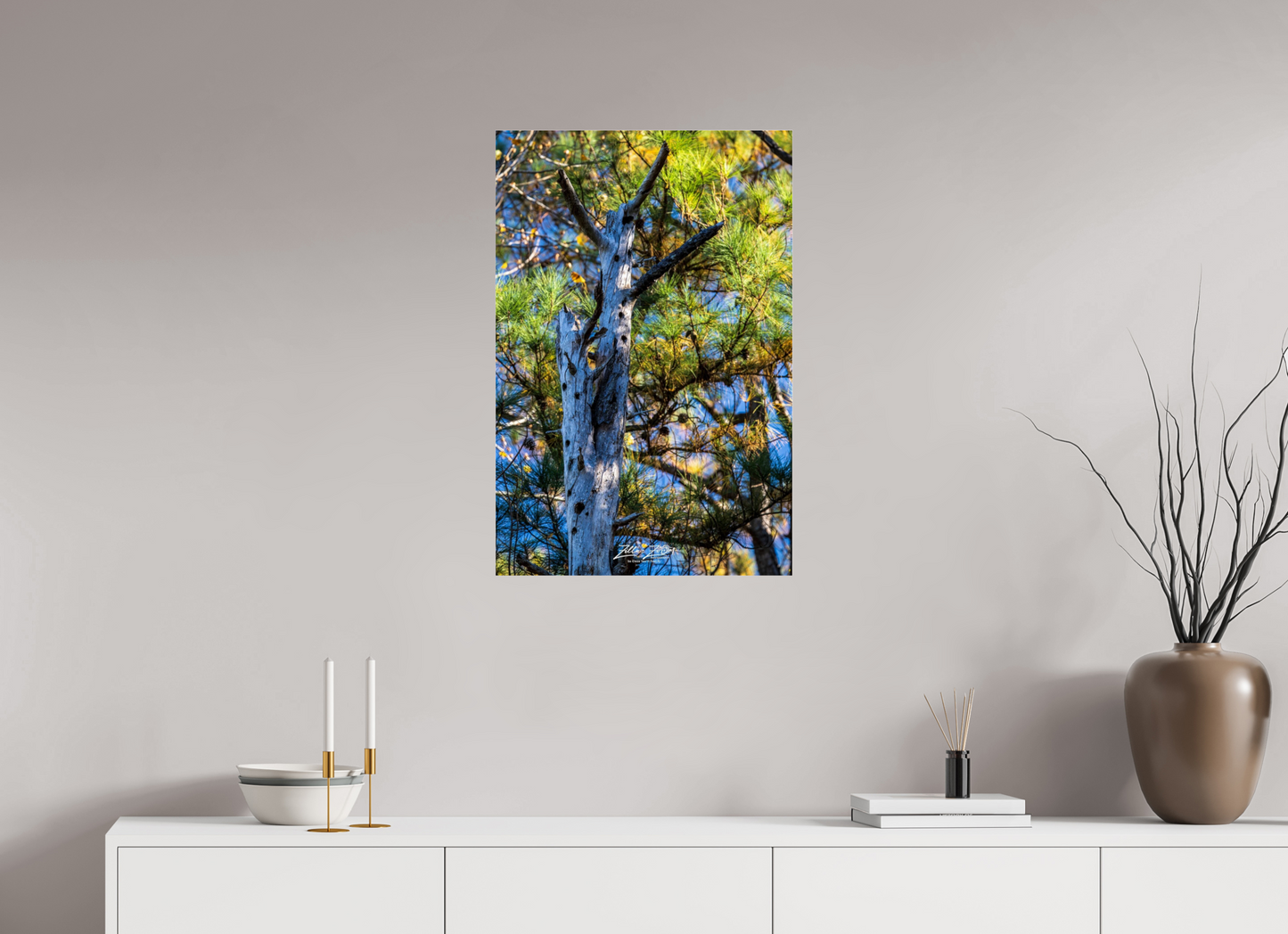 20 x 30″, Photo Print Under Acrylic Glass Zillas Zoom Image 252
