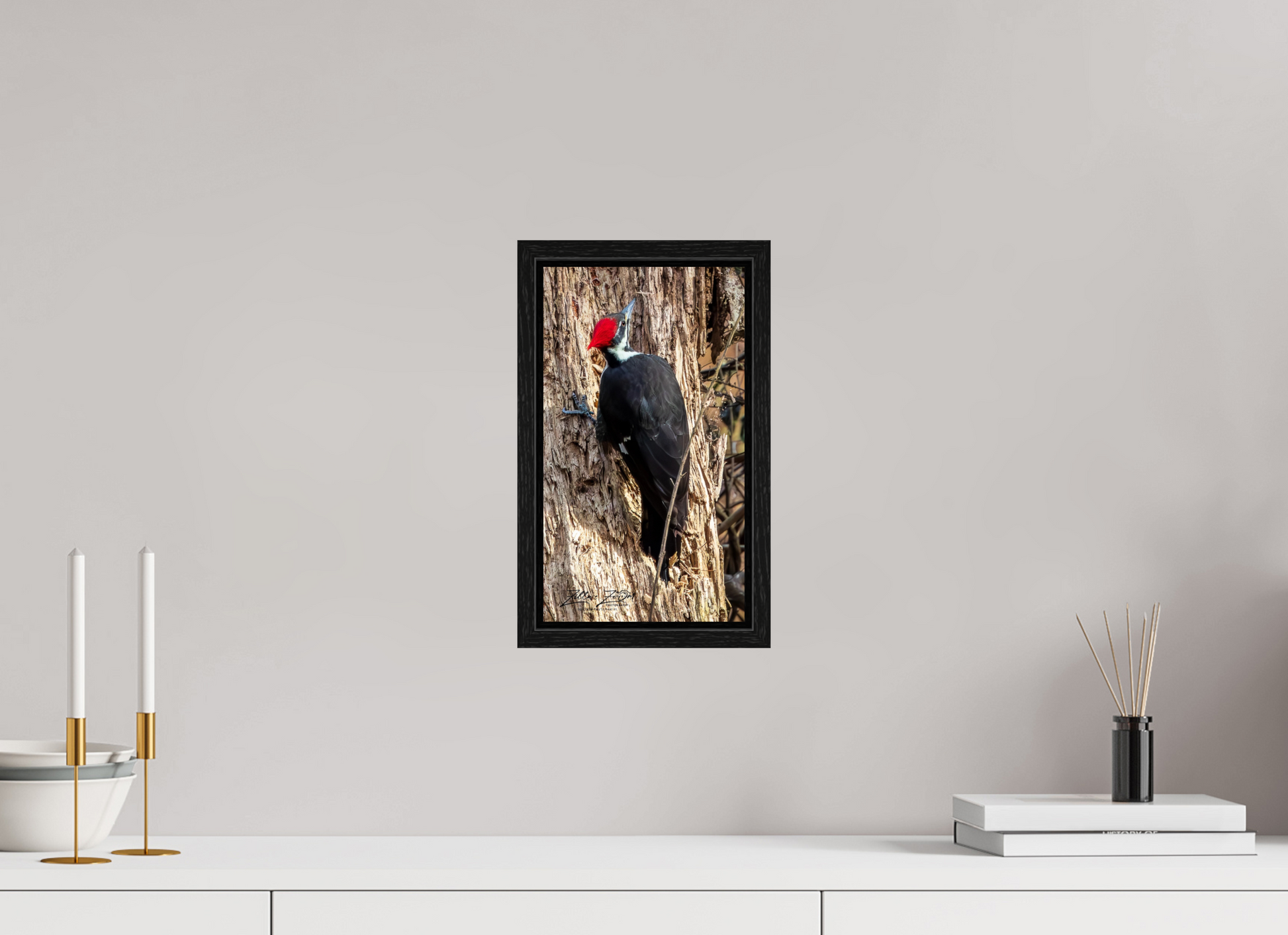 6.8 x 12″, Floater Frame Zillas Zoom Image 425