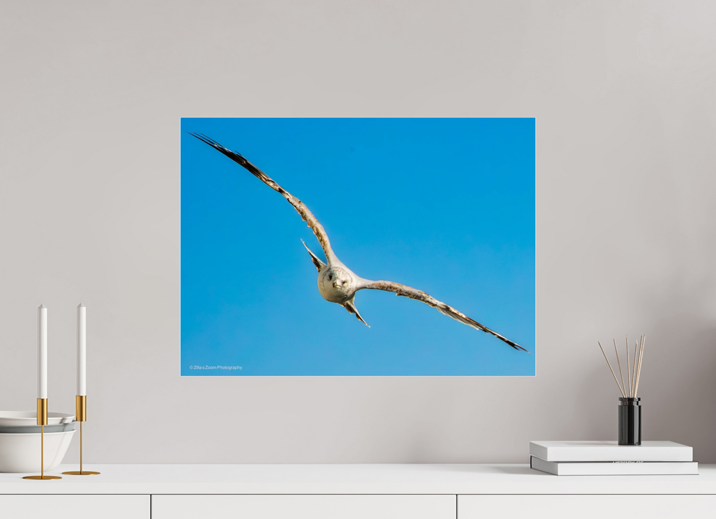 21.9 x 16″, Photo Print Under Acrylic Glass Zillas Zoom Image 365