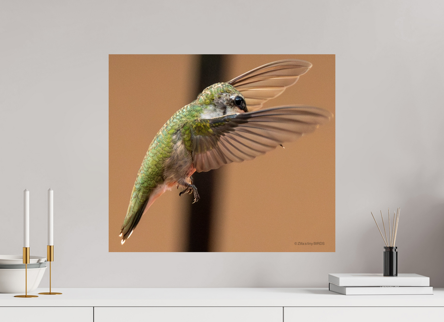 22.9 x 20″, Photo Print On Fuji Crystal DP II Zillas Zoom Image 376