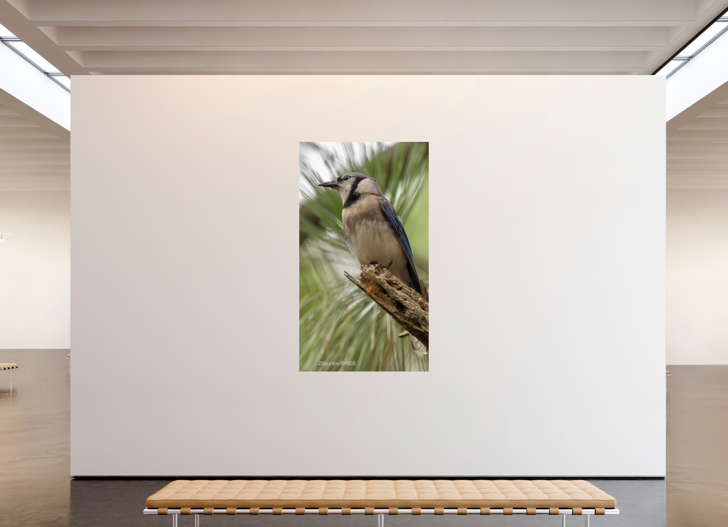 45 x 80″, Photo Print On Fuji Crystal DP II Zillas Zoom Image 488