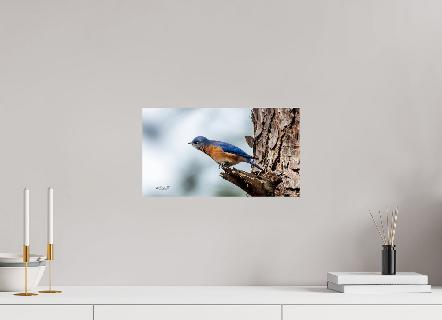 16 x 9″, Photo Print On Fuji Crystal DP II Zillas Zoom Image 346