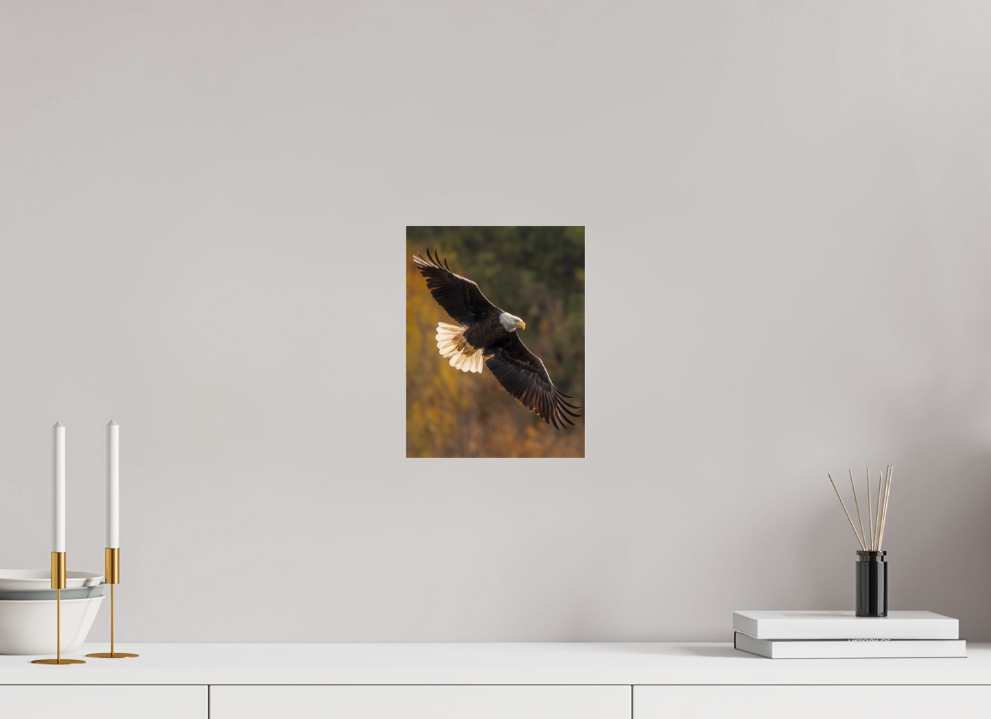 8 x 10.4″, Photo Print Under Acrylic Glass Zillas Zoom Image 495