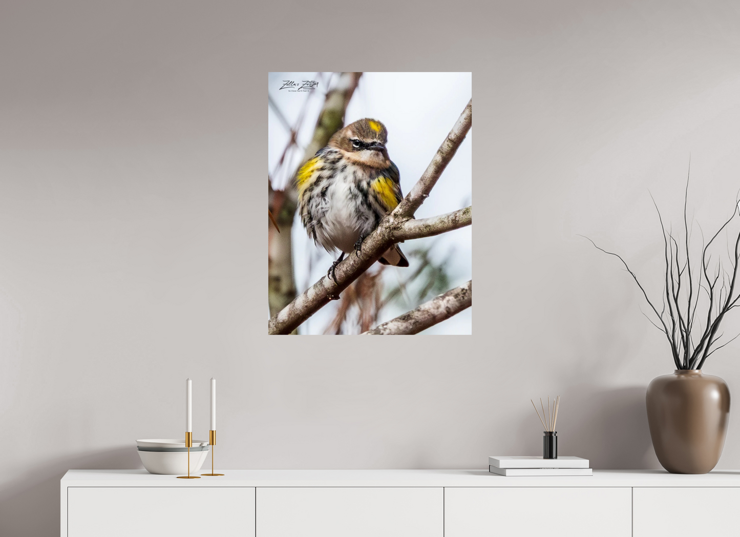 24 x 31″, Photo Print On Fuji Crystal DP II Zillas Zoom Image 496