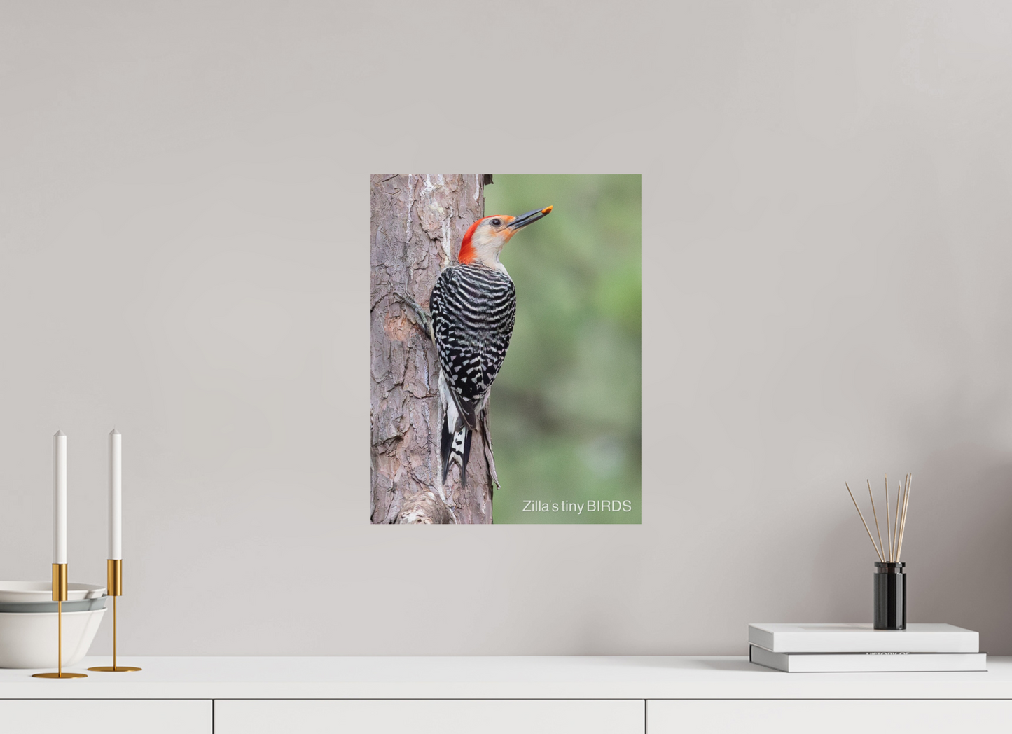 12 x 15.5″, Photo Print On Fuji Crystal DP II Zillas Zoom Image 510
