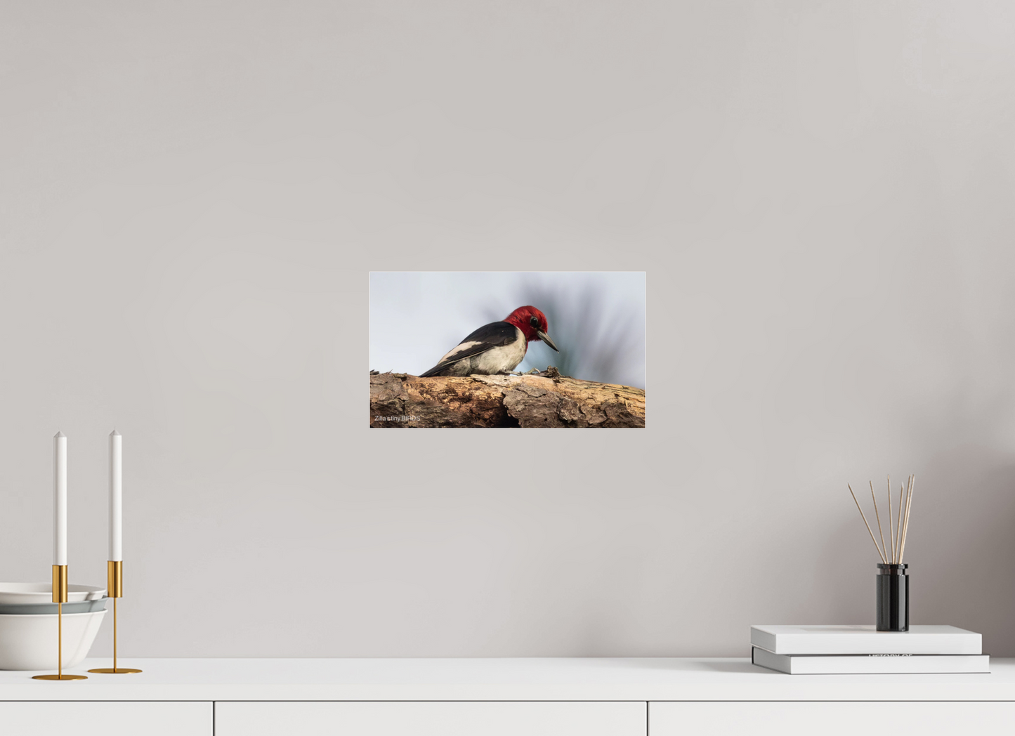 12 x 6.8″, Photo Print Under Acrylic Glass Zillas Zoom Image 391