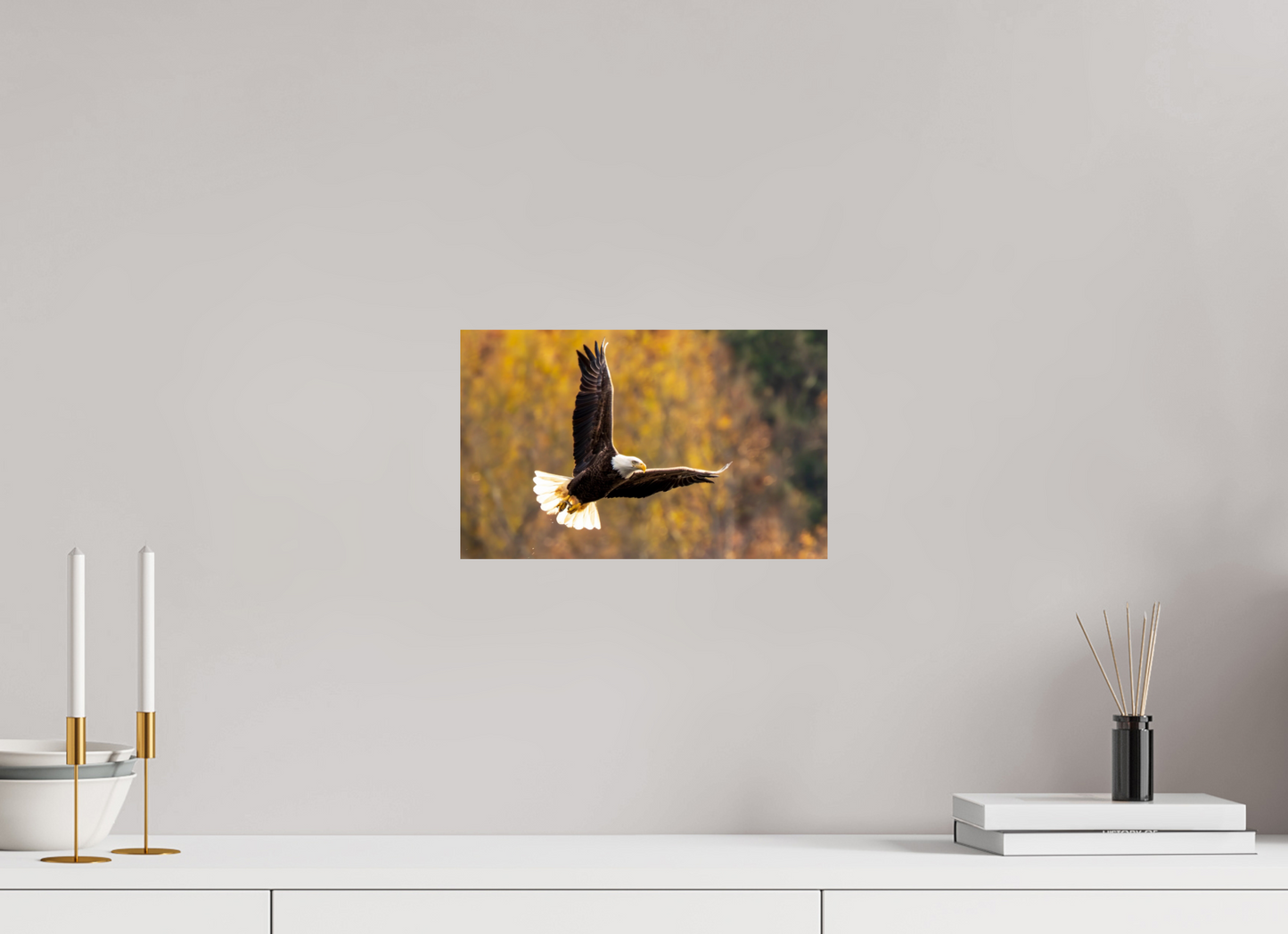 12.8 x 8″, Photo Print On Fuji Crystal DP II Zillas Zoom Image 394