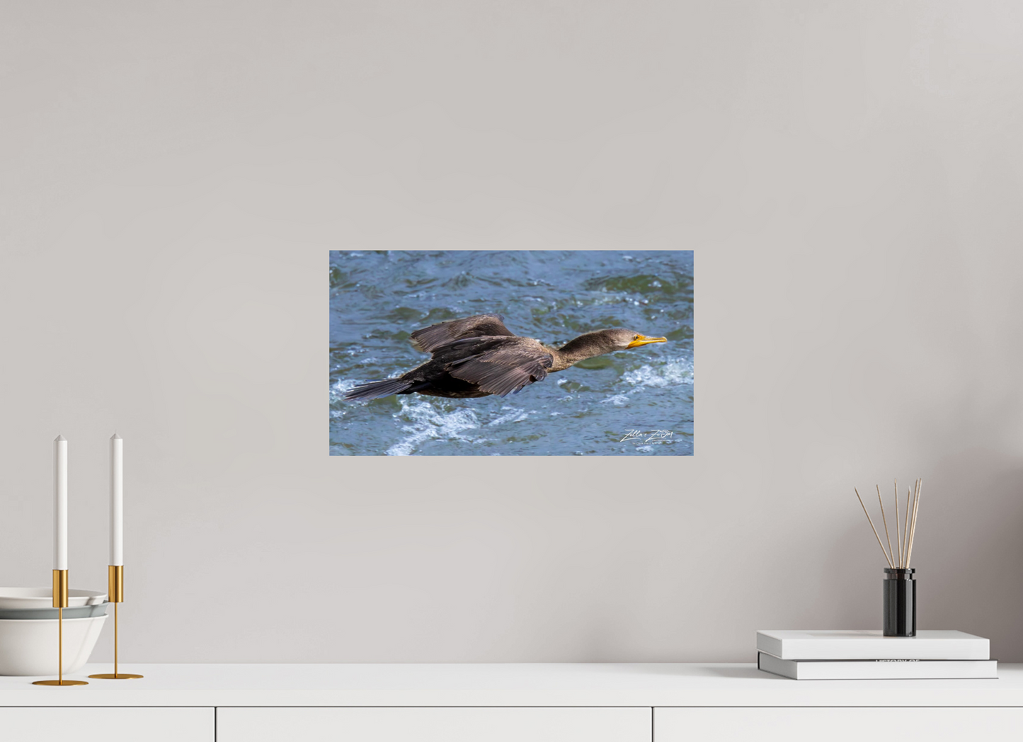 16 x 9″, Photo Print On Fuji Crystal DP II Zillas Zoom Image 310