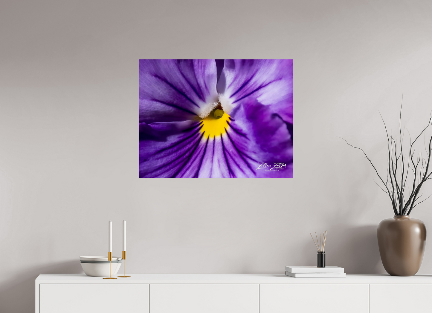 31.1 x 24″, Photo Print On Fuji Crystal DP II Zillas Zoom Image 105