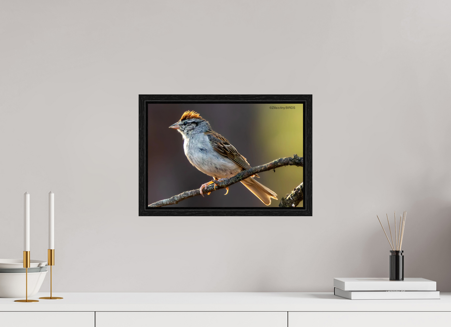 15 x 10″, Floater Frame Zillas Zoom Image 308