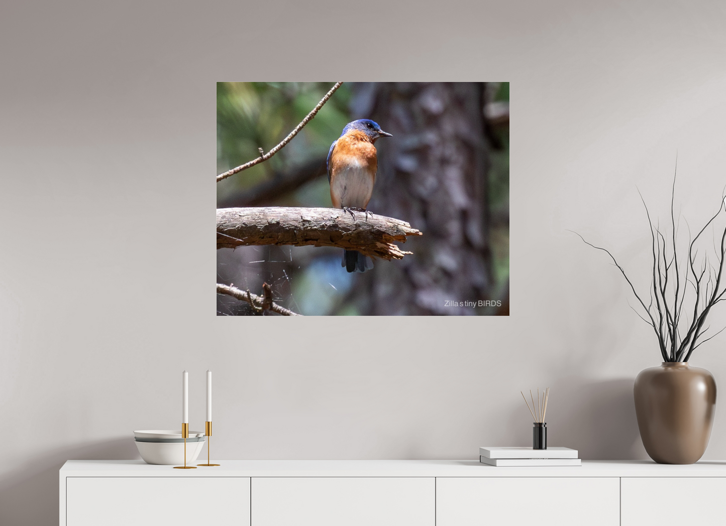 35 x 28″, Photo Print Under Acrylic Glass Zillas Zoom Image 368